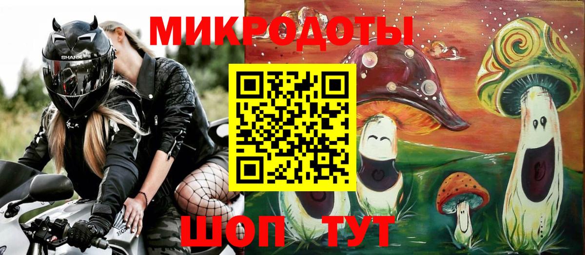 Лесной  Псилоцибиновые грибы Psilocybine cubensis  Вход с VPN 